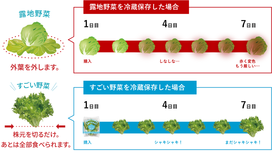 鮮度が長持ち
