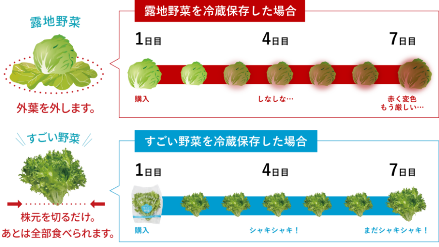 鮮度が長持ち