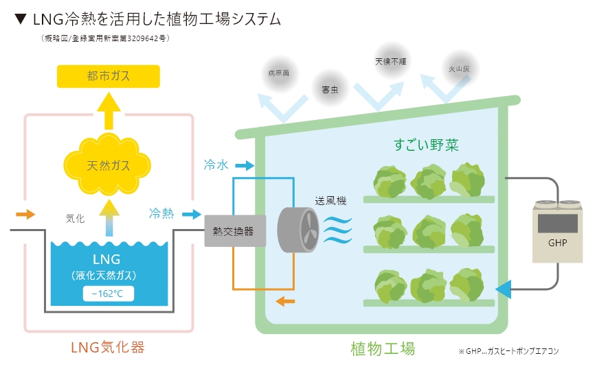 LNG冷熱を活用した植物工場システム