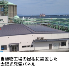 植物工場の屋根に設置した太陽光パネル