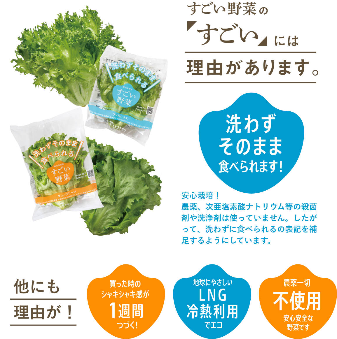 すごい野菜の「すごい」には理由があります。