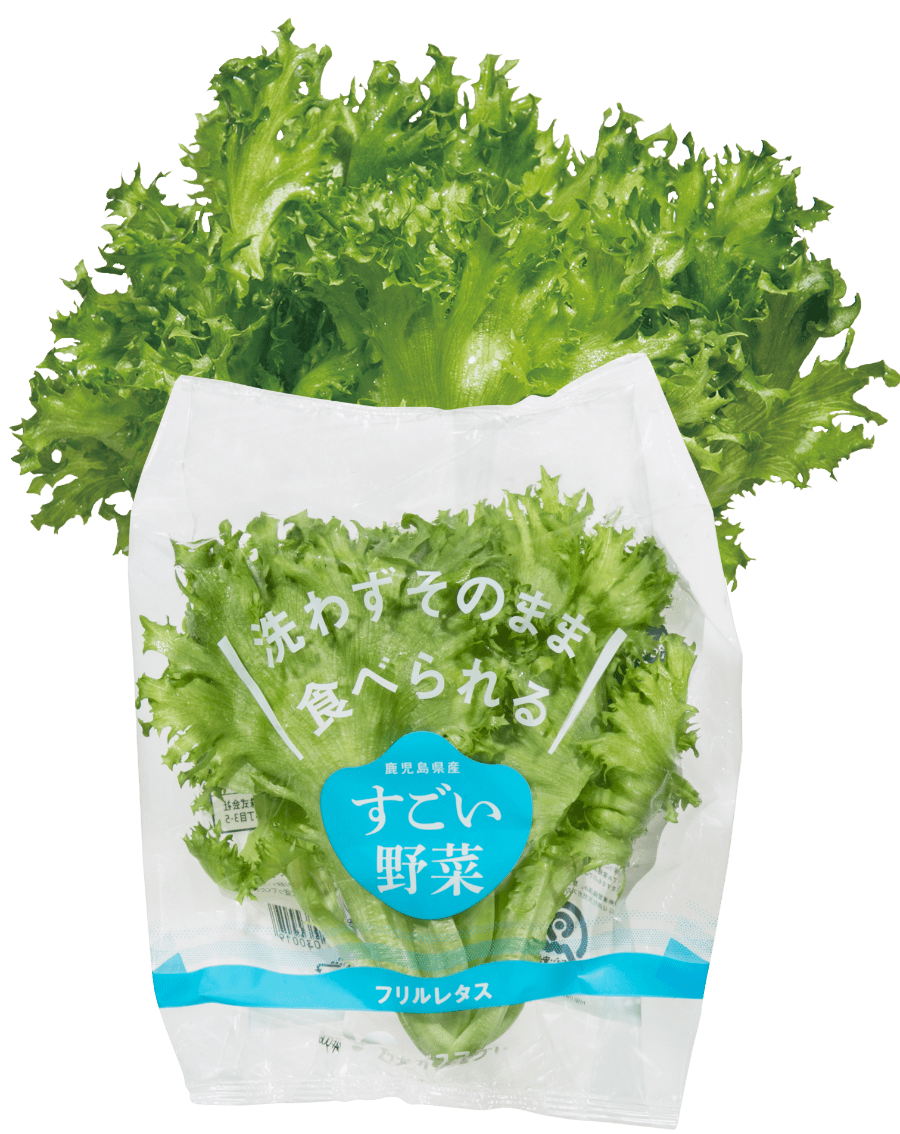 フリルレタス