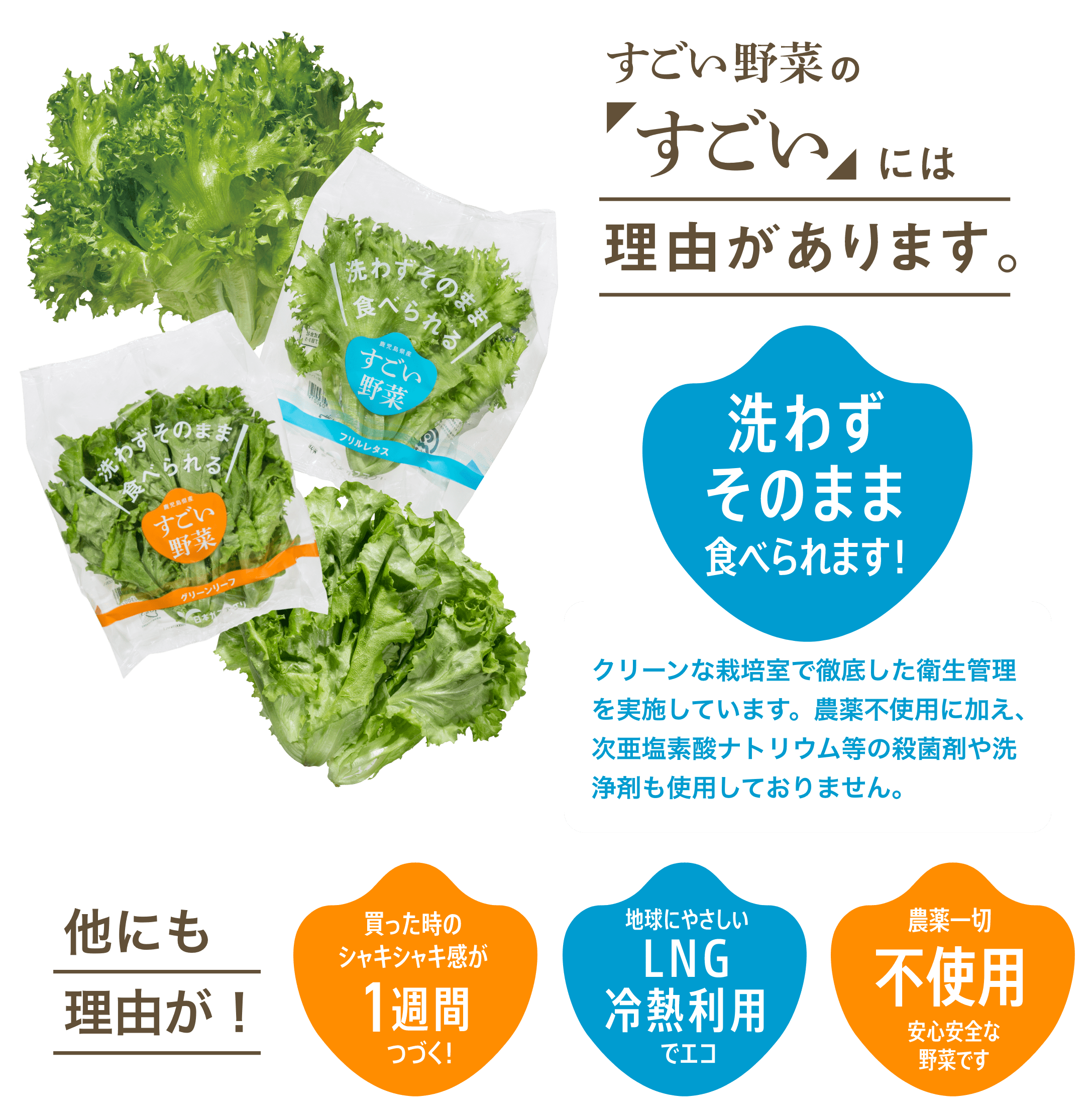 すごい野菜の「すごい」には理由があります。